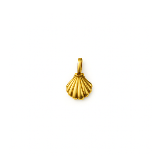 Seashell Necklace
