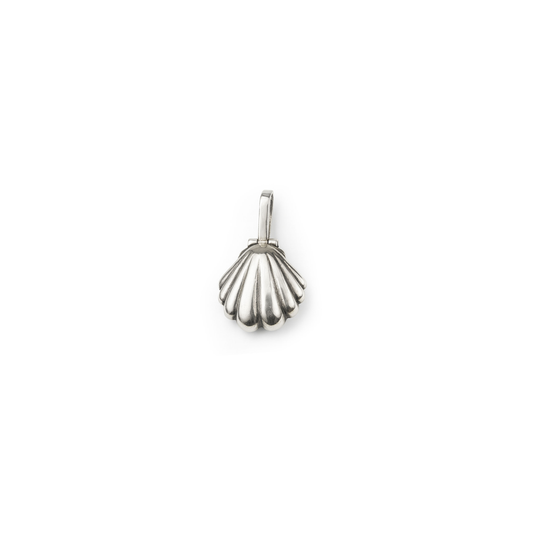 Seashell Necklace