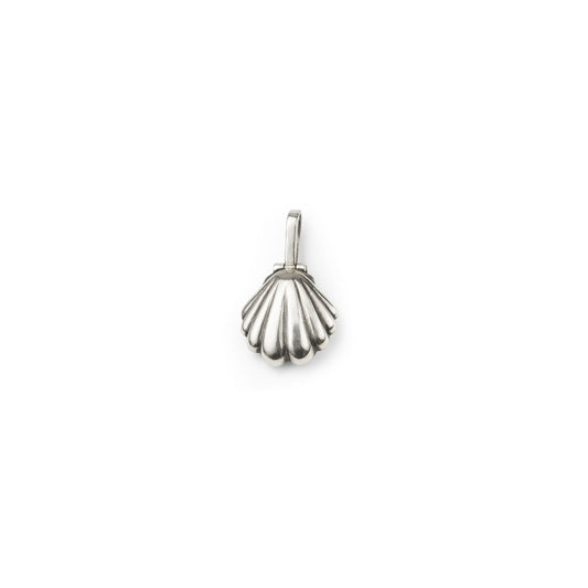 Seashell Necklace